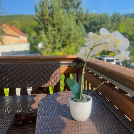 Apartmán Zur Elster Landruhe *