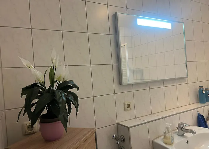 Zur Elster Landruhe Daire