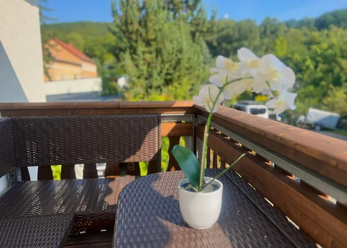 Appartement Zur Elster Landruhe *